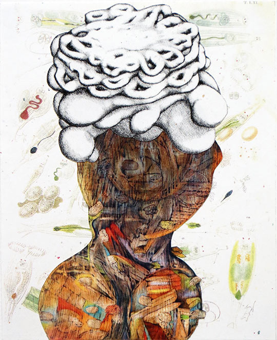 Collage by Susan Lyman