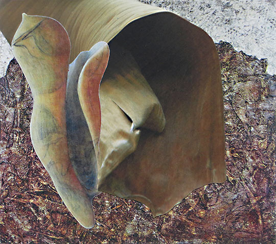 Collage by Susan Lyman, Leaf