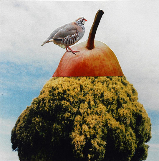 Collage by Susan Lyman
