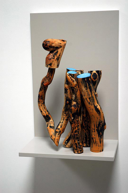 Susan Lyman, Birdsong, 2013