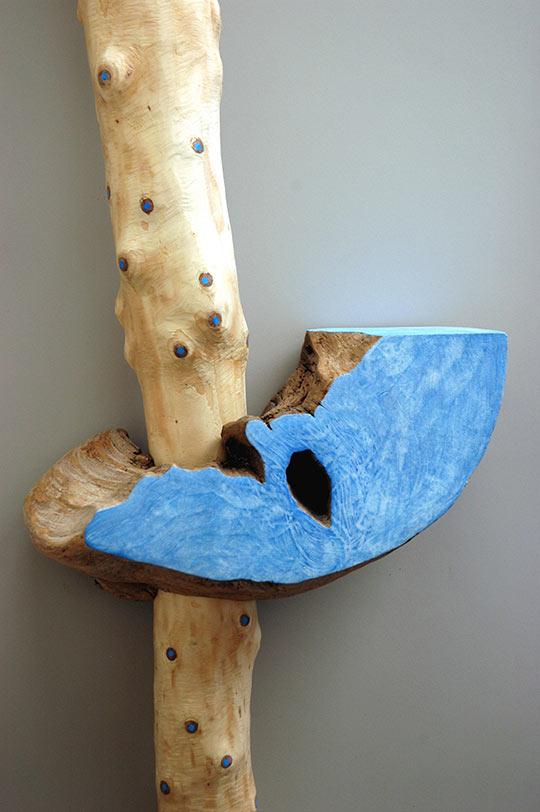 Susan Lyman, Google Blue, 2013