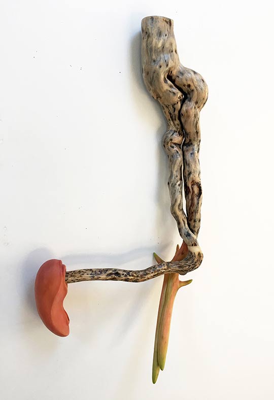 Susan Lyman, Coy, 2017, spruce root, oak, basswood, willow, wood dyes, permanent ink, acrylic varnish