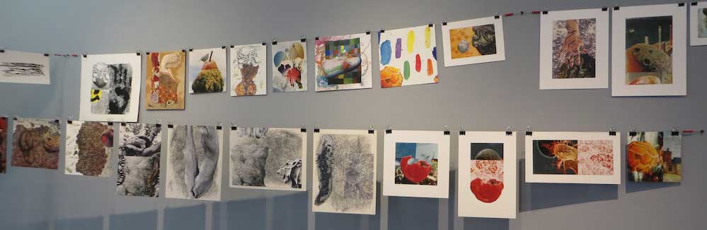 Susan Lyman art